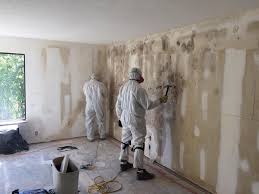 Professional Mold Remediation in Hamshire, TX